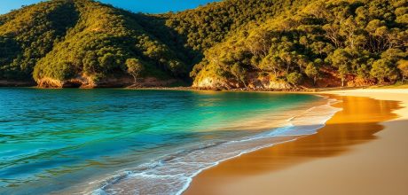 Explorando a Natureza e Praias de Sydney, Austrália