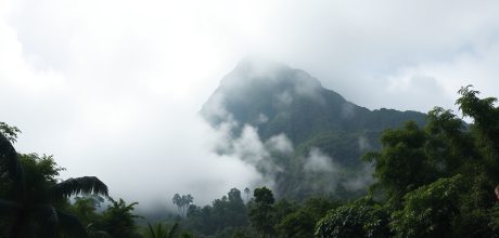 Pico Neblina: O Ponto Mais Alto do Brasil