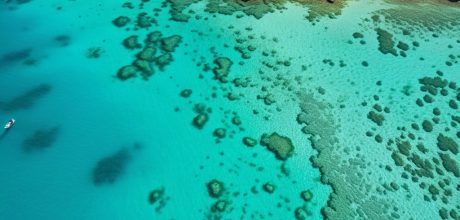 Porto Galinhas: Descubra as Piscinas Naturais