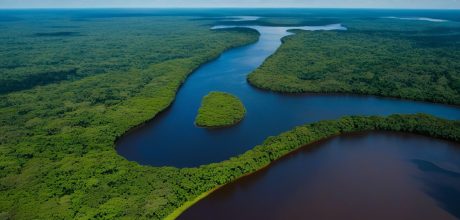 Manaus: Porta da Amazônia e Seus Encantos